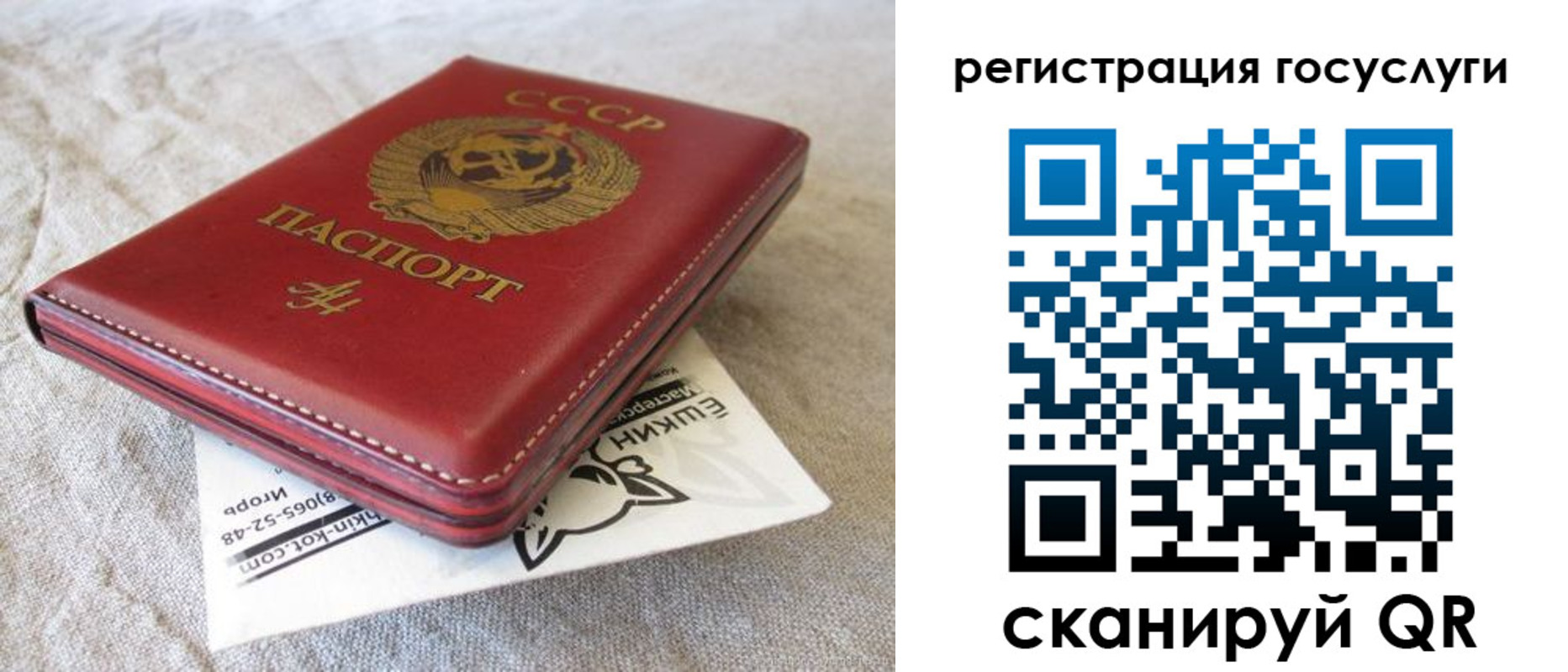 регистрация для школы в Жердевке