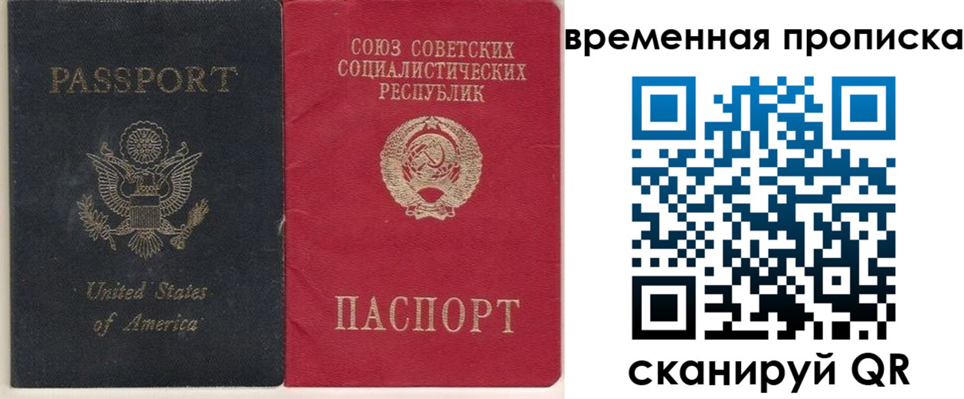 прописка для школы в Жердевке